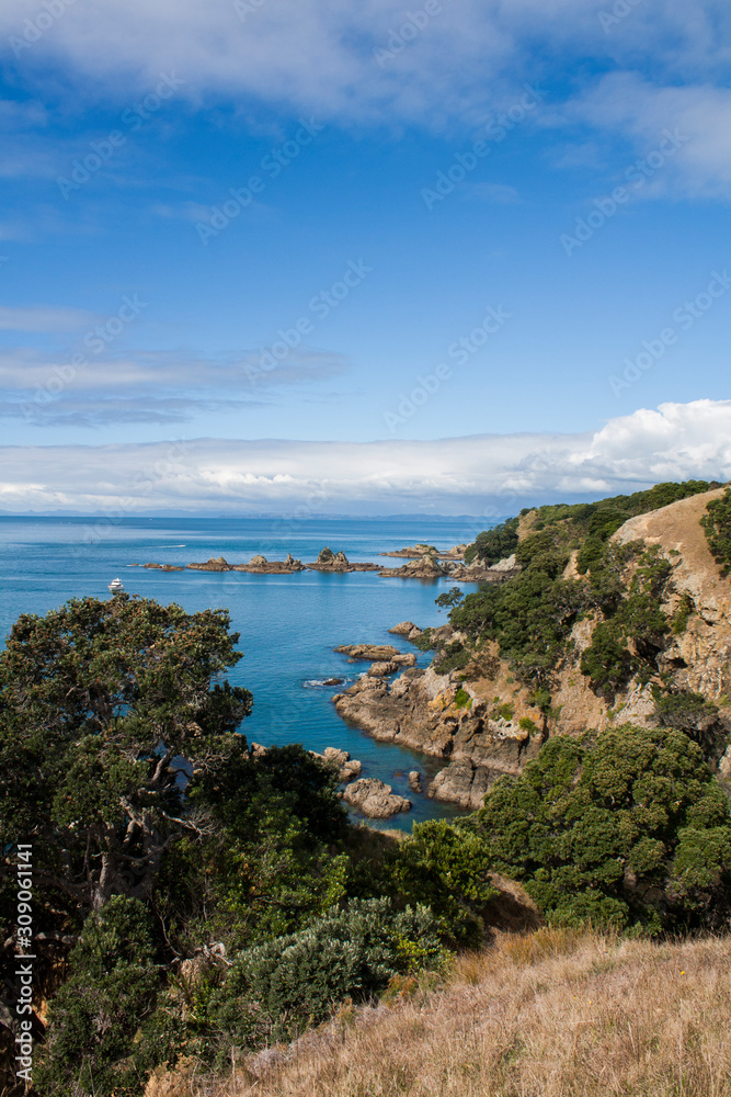 Landscape image of the Hauraki Gulf from Tiritiri Matangi Island. Beautiful blue pacific ocean, rocky shore, blue sky white clouds. Paradise. North Shore, Auckland. Craggy cliffs, pohutukawa trees.