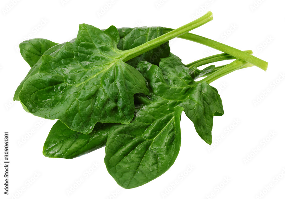 spinach leaves isolate on white background. Healthy food. spinach leaves isolate on white background. Healthy food.