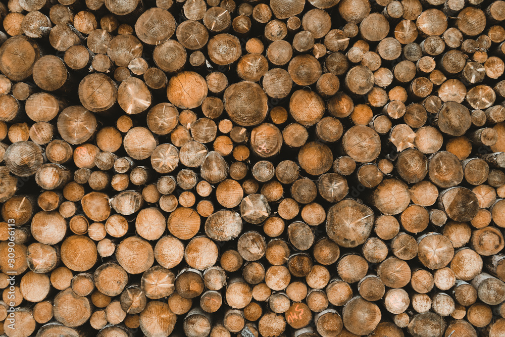 Wood stack log pile texture of cut round trees tree slices Wood stack log pile texture of cut round trees tree slices