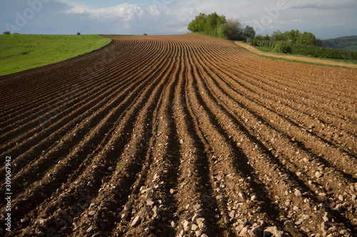 cultivated land prepared for sowing, Teočin, Serbia