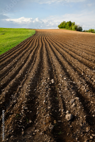 cultivated land prepared for sowing, Teočin, Serbia