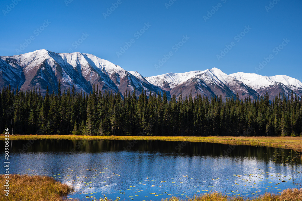 Lake in the mountains with snowy peaks and beautiful green trees in the foreground 