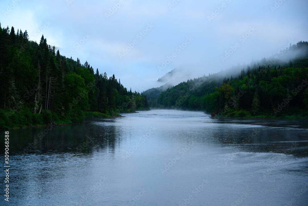 Foggy landscape photography of a lake with evergreen trees at sunrise in Canada