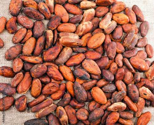 Heap of cocoa beans on a jute textile background. Top view.