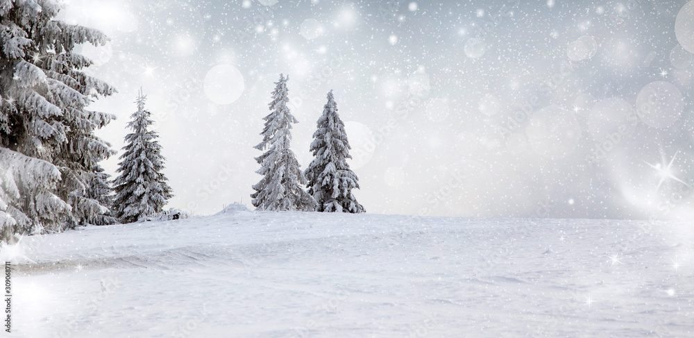 Fototapeta premium panorama snowy jodły boże narodzenie banner