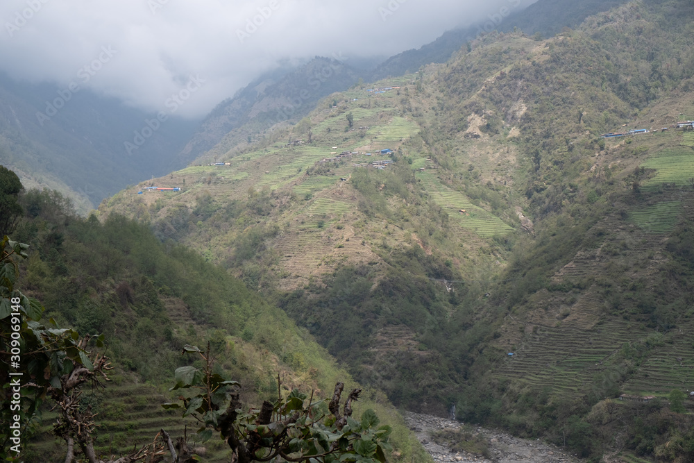 Trail on the Annapurna Base Camp Trek in tropical Rain forest Nepal.