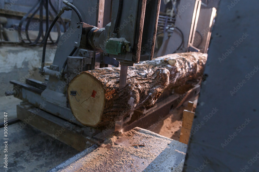 Veneer cutting Shelling machine. Production technology of plywood at the plant. Veneer cutting Shelling machine. Production technology of plywood at the plant.