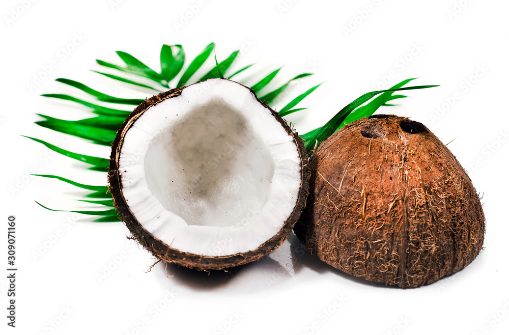Pieces of coconut with fresh palm leaf isolated on a white background Pieces of coconut with fresh palm leaf isolated on a white background