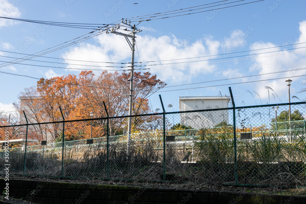 Fototapeta premium 東京都八王子市にある団地 東京都八王子市 日本