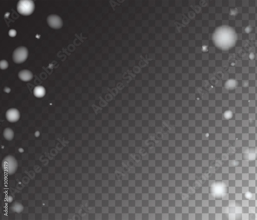 Winter Snowfall Ice Texture Vector Transparent Background. Realistic Snow Confetti Falling Down, Isolated Snowflake Scatter. Random Moving Realistic Snow Confetti, Christmas New Year Frost Decoration.