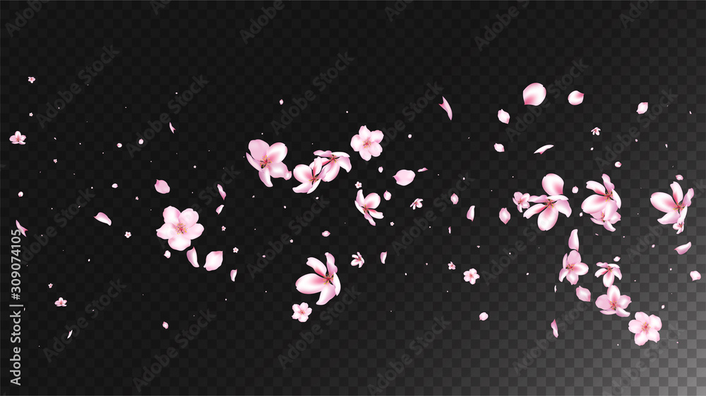 Nice Sakura Blossom Isolated Vector. Spring Flying 3d Petals Wedding Paper. Japanese Blurred Flowers Illustration. Valentine, Mother's Day Feminine Nice Sakura Blossom Isolated on Black