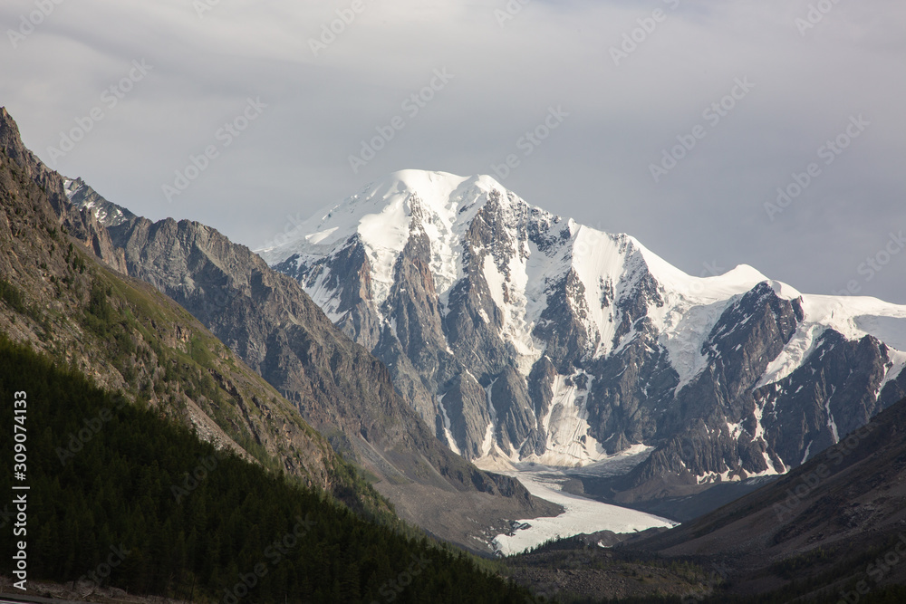 altai snow mountain and forest