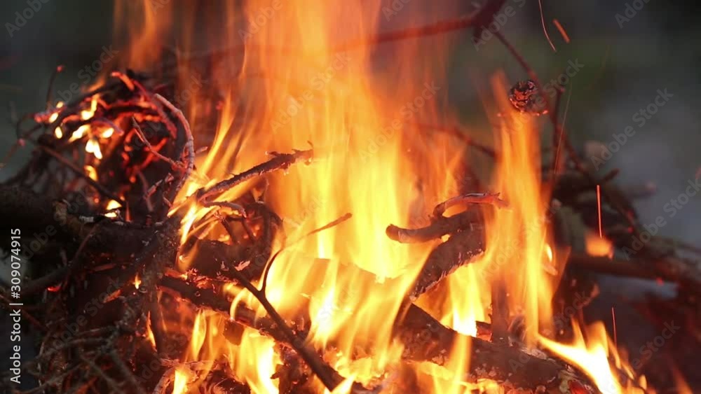 Fire and flame of a bonfire. Firewood burns in a campfire. Fire and flame of a bonfire. Firewood burns in a campfire.