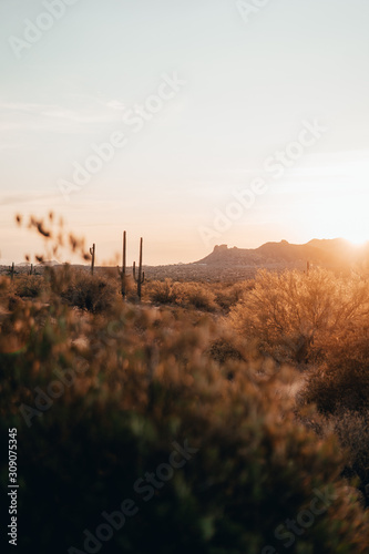 sunrise in the Desert