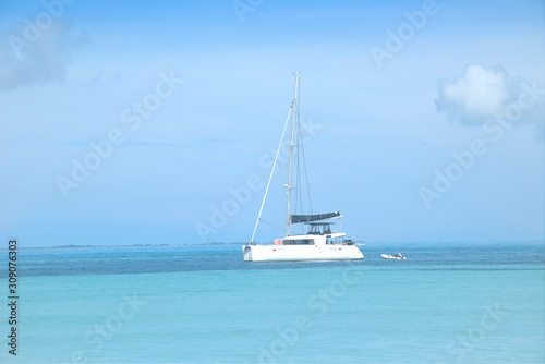 Fotografia Luxurious catamaran sail in front of a Caribbean white beach