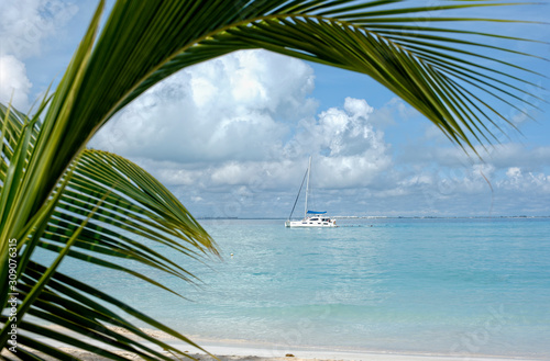 Luxurious catamaran sailing in front of a Caribbean beach. Happy people play and swim in the calm sea near the yacth photo