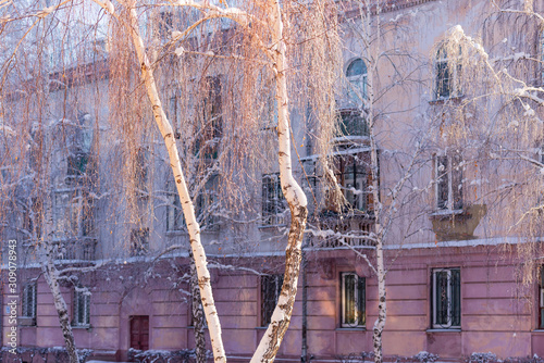 Birch in frost. Magnitogorsk. Gorky street. Historic centre. Winter city.