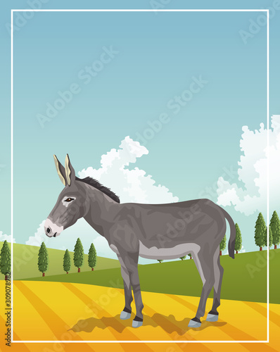 Stampa su Tela donkey animal farm in the camp scene