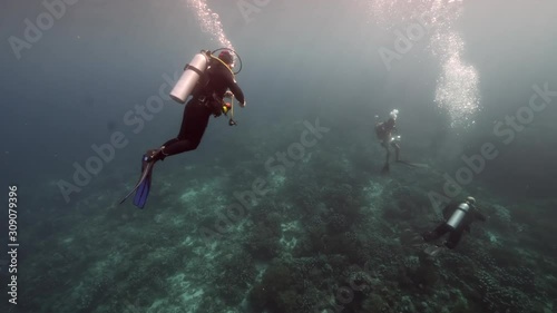 Wallpaper Mural Slow motion shot Diver on background School of fish underwater landscape in Kepulauan Banda Indonesia. Swimming in world colorful beautiful wildlife of reefs and algae. Inhabitants in search of food. Torontodigital.ca