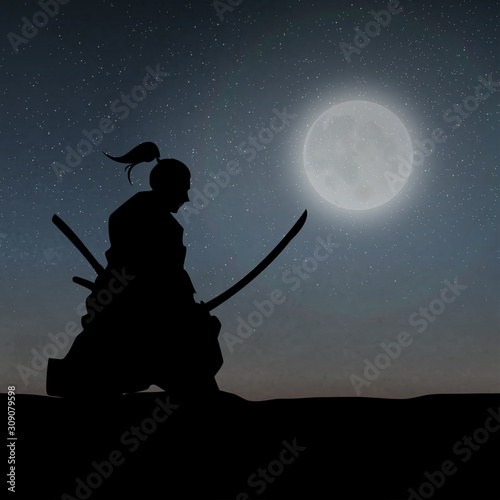 A Samurai Under The Moonlight