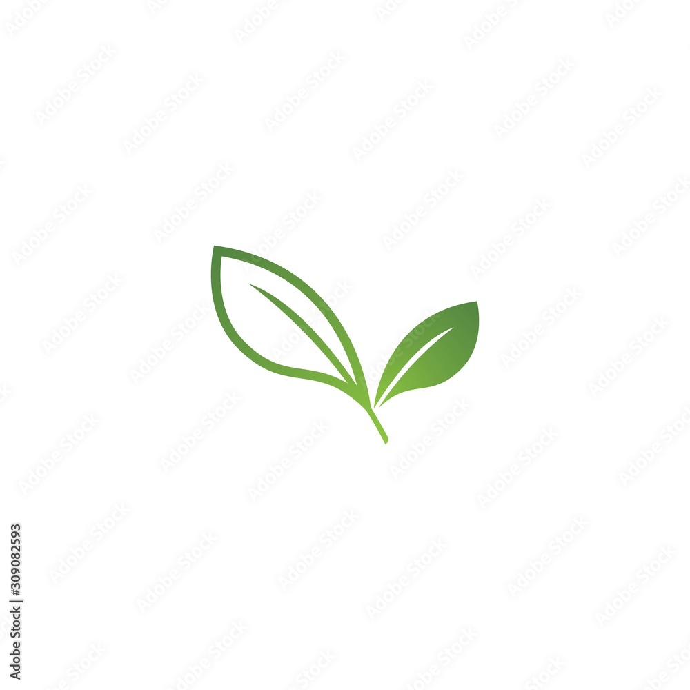 Tree leaf vector logo design, eco-friendly concept