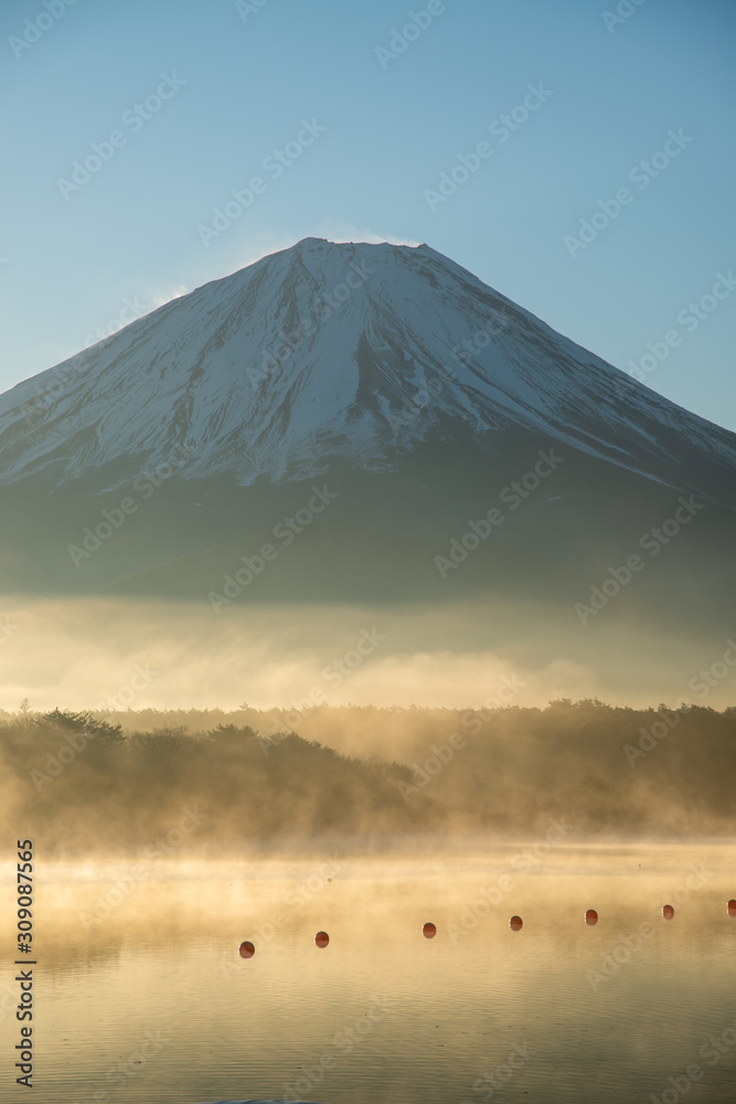 Fototapeta premium 日の出の富士山 精進湖 縦構図
