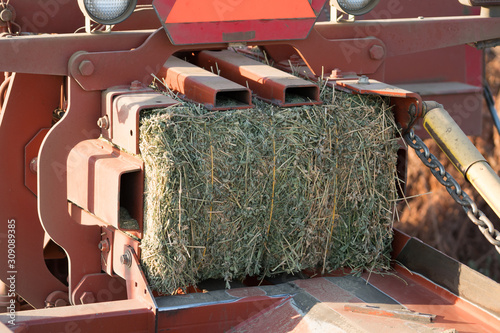 red hay alfalfa bailing tractor with bail finished.  photo