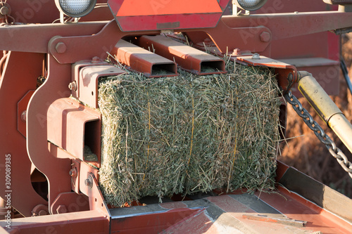 red hay alfalfa bailing tractor with bail finished. 