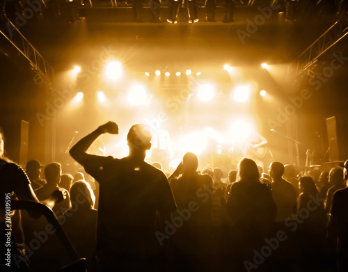 a crowd of people at a concert with a slight blur toned with a retro vintage instagram filter effect