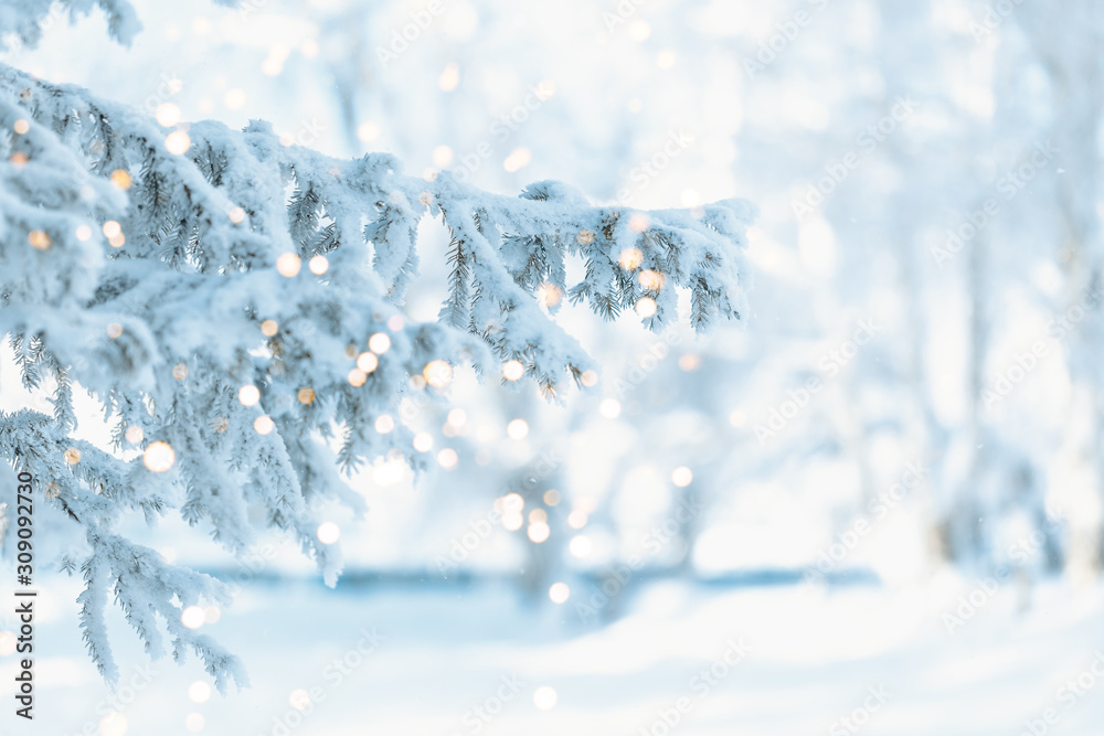 white christmas frosty tree, Merry christmas background with holiday golden bokeh. Winter day. white christmas frosty tree, Merry christmas background with holiday golden bokeh. Winter day.