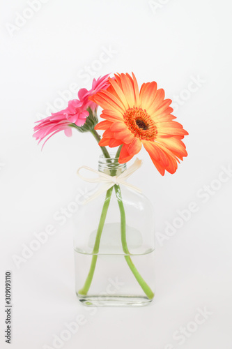 Fototapeta Naklejka Na Ścianę i Meble -  Fresh Gerbera flower in vase