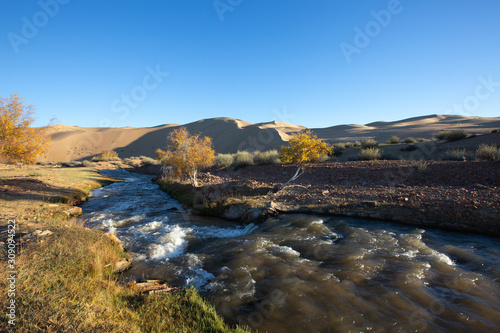 Fototapeta Naklejka Na Ścianę i Meble -  steppe and river in Mongolia