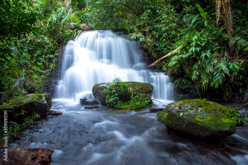 waterfall in forest