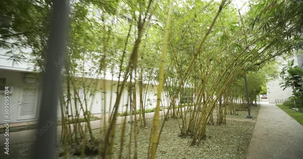 Motion video Bamboo garden in the city 4k Motion video Bamboo garden in the city 4k