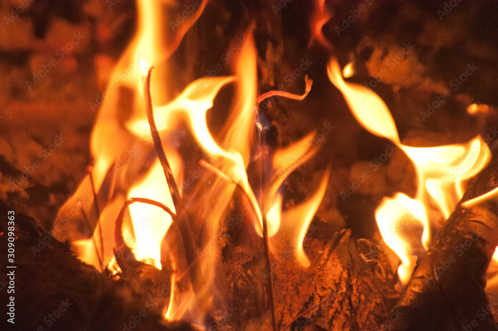 Fototapeta premium fire in the fireplace