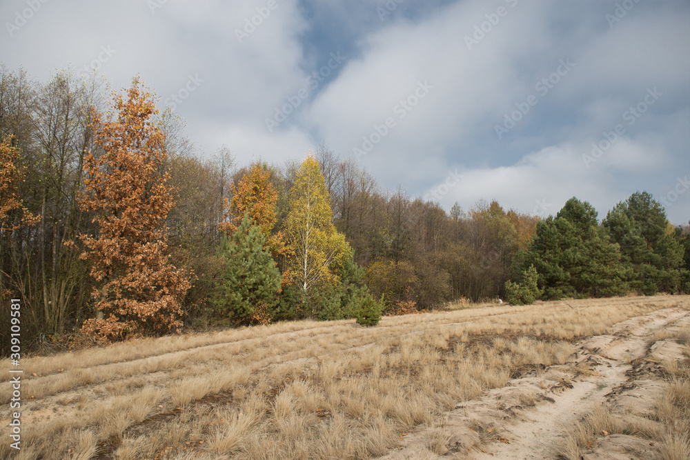 Fototapeta premium Autumn countryside landscape in fields and meadow. Lake