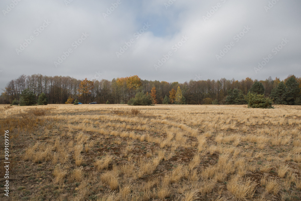 Autumn countryside landscape in fields and meadow. Lake