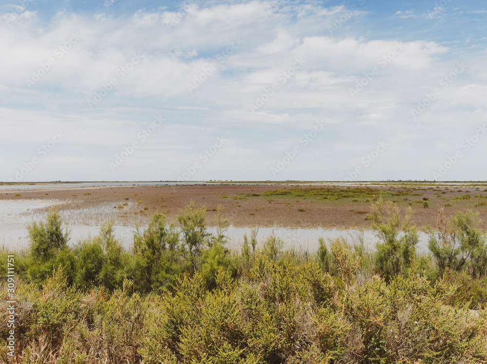 Paysage du Parc naturel régional de Camargue