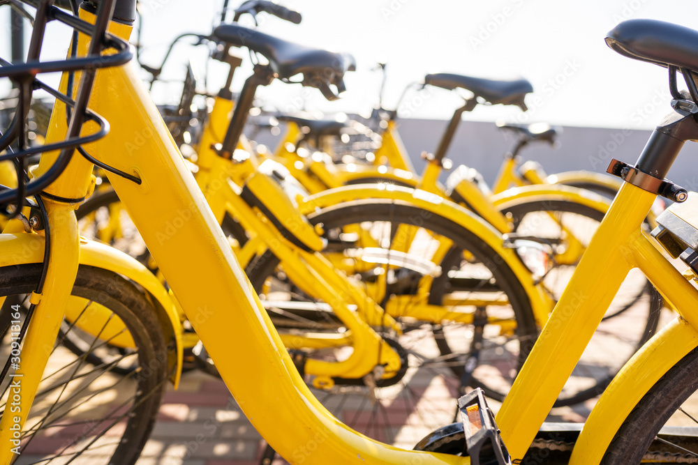 pleasure yellow bicycles are in the parking lot for rental. pleasure yellow bicycles are in the parking lot for rental.
