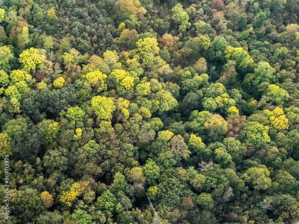 vue aérienne de la forêt à l'automne à Lainville-en-Vexin dans le Val d'Oise en France vue aérienne de la forêt à l'automne à Lainville-en-Vexin dans le Val d'Oise en France