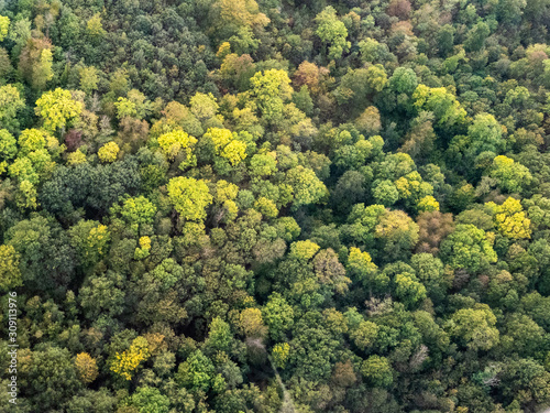 vue aérienne de la forêt à l'automne à Lainville-en-Vexin dans le Val d'Oise en France