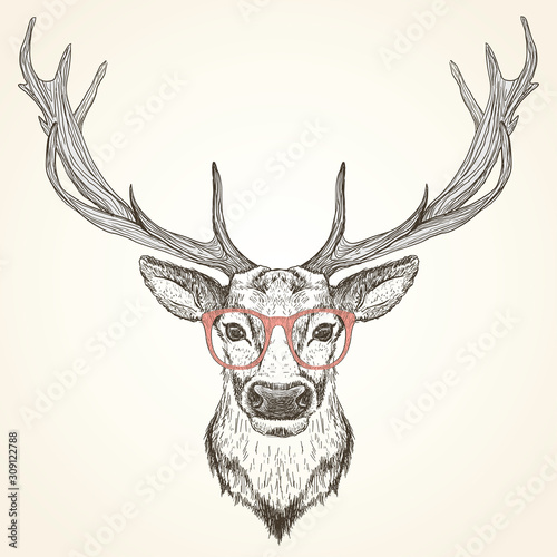 Hand drawn graphic sketch illustration of a deer head with big antlers and with red glasses