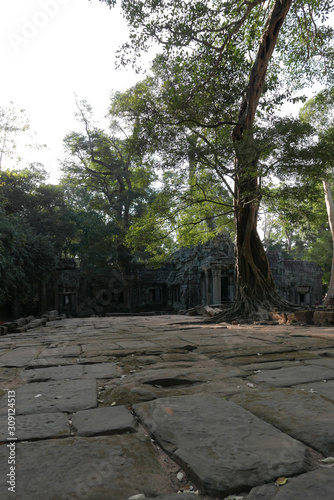Siem Reap Cambodia