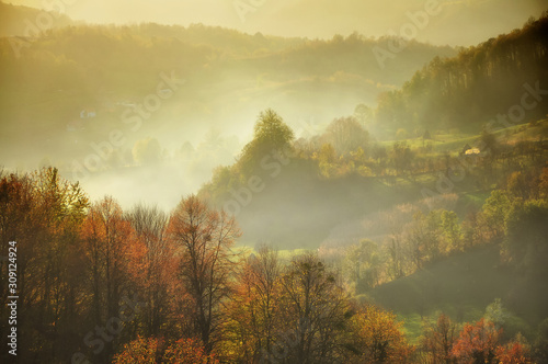 Beautiful autumn mountain in the sunset mist. Glowing sunset on the autumn forest. Lens flare effect. Soft focus.