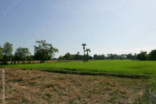 Siem Reap Cambodia