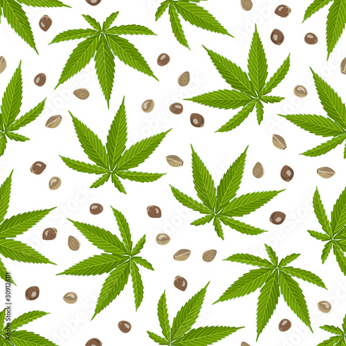 Green hemp leaves and seeds on white background. Seamless pattern. Vector illustration of cannabis in cartoon flat style.