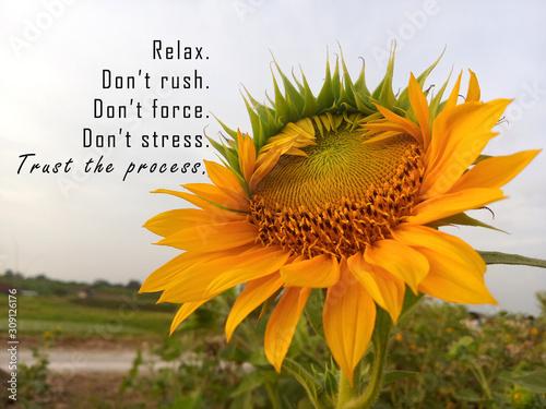 Foto Inspirational motivational quote - Relax