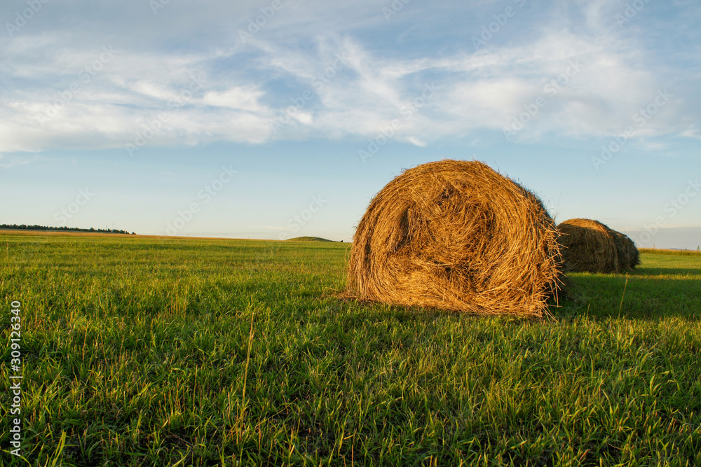 Green field with haystack in the foreground Green field with haystack in the foreground