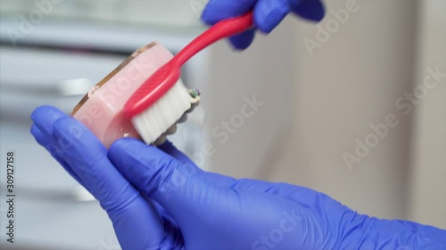 Wallpaper Mural Orthodontist is showing how to clean braces using brush and jaw model Torontodigital.ca