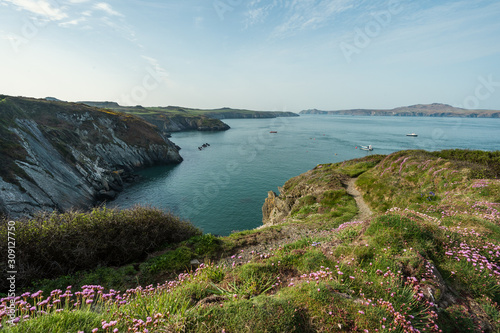 Pembrokeshire National Park Coastline, St. Davids.
